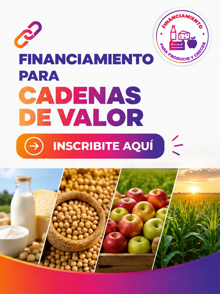 cdv